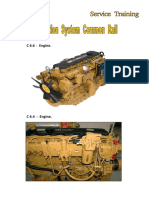 Apostila Injeção Eletrônica - Common Rail. ENGINE C 6.6 PDF