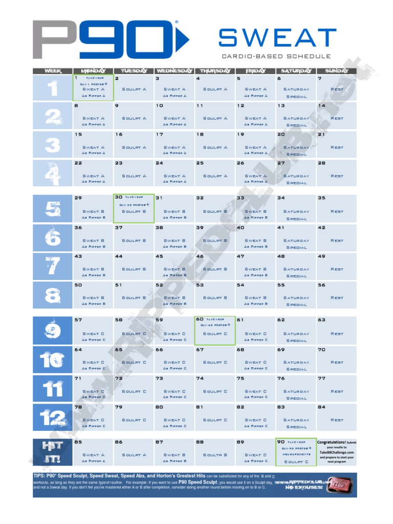 Sweat It Out A 12Week CardioBased Full Body Workout Schedule PDF