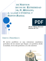 145595704-Lesion-de-Nervios-Perifericos-mediano-ulnar-y-radial.ppt