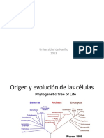 Unidad I Biología Celular-Clase