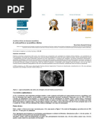 Moreira Jr Editora _ Osteoartrose Na Prática Clínica