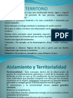 TERRITORIO Clase 8 PowerPoint