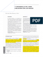 Seno Maxilar Caracteristicas Anatomicas