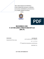 Bombeo Por Cavidades Progresivas