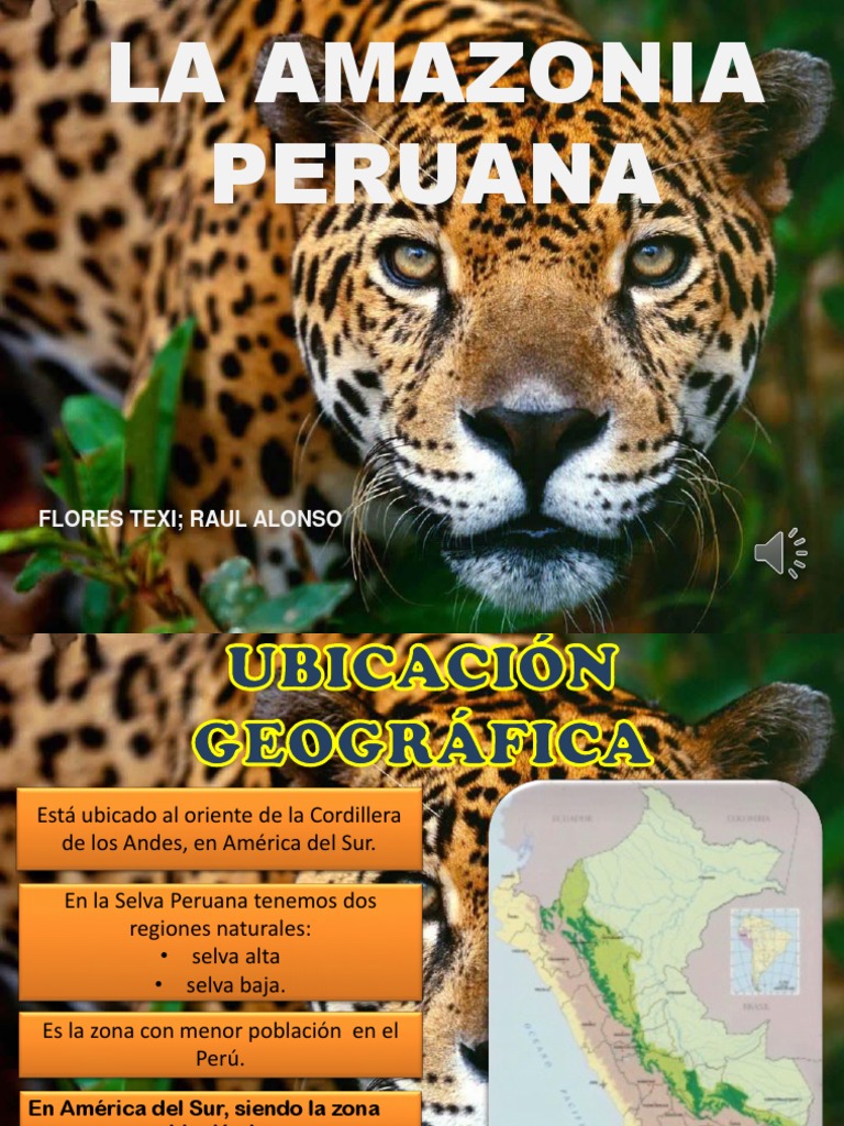 La Amazonia Peruana | PDF | Selva amazónica | Conservación