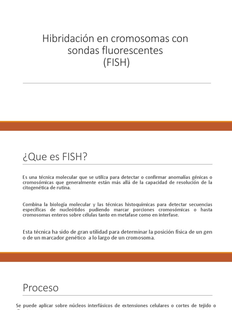 Hibridación FISH en Diagnóstico Prenatal | PDF | Hibridación in situ ...
