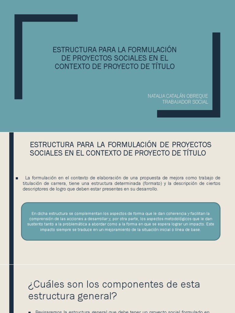 Estructura de Proyectos Sociales | PDF | Presupuesto | Planificación
