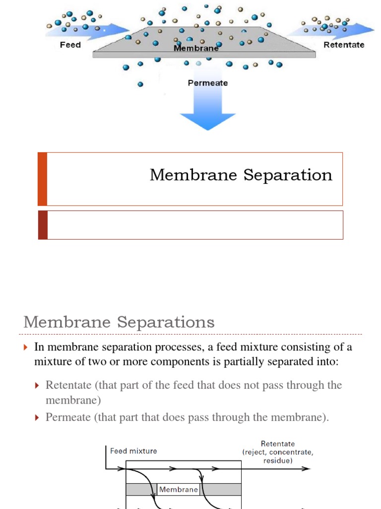 Membrane Separation Processes Explained | PDF | Membrane | Membrane ...