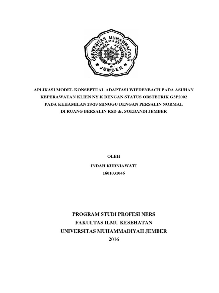 Asuhan Keperawatan G3P2002 pada Persalinan | PDF | Pengembangan Diri ...