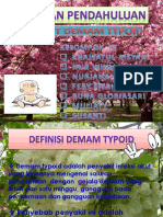demam typoid