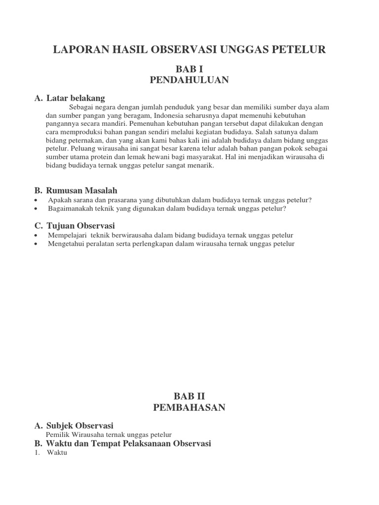 Contoh Laporan Hasil Observasi Peternakan Ayam Petelur