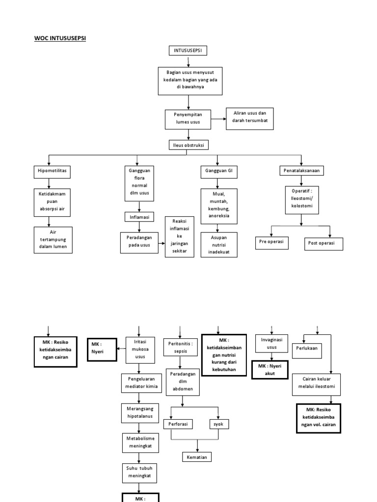 Patofisiologi dan Penatalaksanaan Intususepsi | PDF
