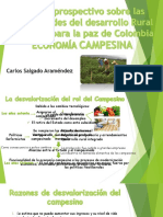 Economia Agraria.pptx