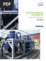 PURASPEC H₂S and Mercury Removal Solutions | PDF | Gases | Mercury ...