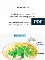 Objectives: Explains The Importance of