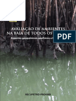 Avaliação ambiental na Baía de Todos os Santos: aspectos geoquímicos, geofísicos e biológicos