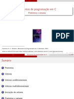 A10 Vet Ponteiros PDF