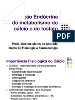 Calcio Fosfato Geanne PDF