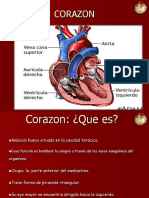 anato1-corazon-100827212006-phpapp02