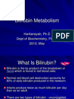 Bilirubin Metabolism: Harliansyah, PH.D Dept of Biochemistry, FKUY 2013, May