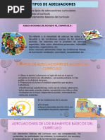 Adecuacion Atencion a La Diversidad