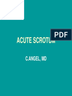 Acute Scrotum 90.pdf