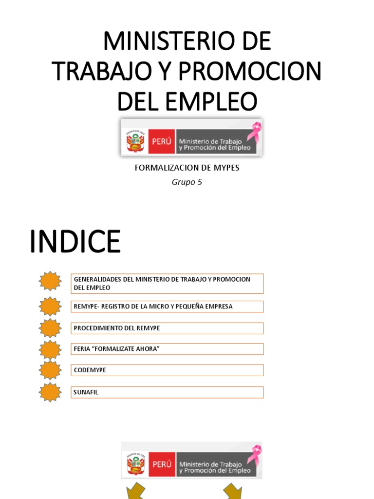 Ministerio de Trabajo y Promocion Del Empleo Final | Pequeñas y ...