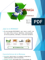 BIOMASA-trabajo de Mical Inzunza Navia