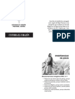 Libro Custodia El Corazón PDF