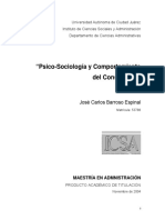 psicosoc.pdf