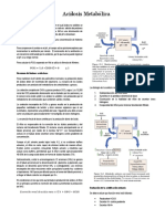 Acidosis Metabolica