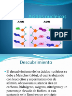 Acidos_nucleicos