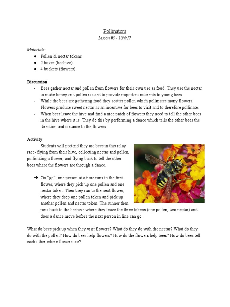 Bee Pollination Relay Activity | PDF | Home & Garden