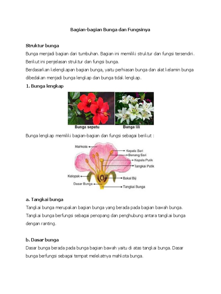 Bagian Dan Struktur Bunga