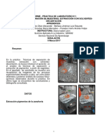 Informe Práctica 4 Extracción pigmentos 