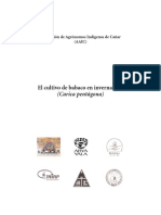 El cultivo de babaco en invernadero (carica pentágona).pdf