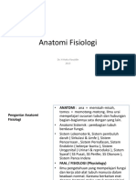 Anatomi Fisiologi