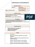 Formato de Silabogsm Verano Escolar y Semianual2017