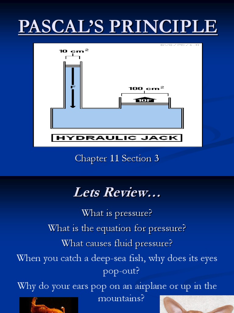 Understanding Pascal's Principle | PDF | Pressure | Chemical Engineering
