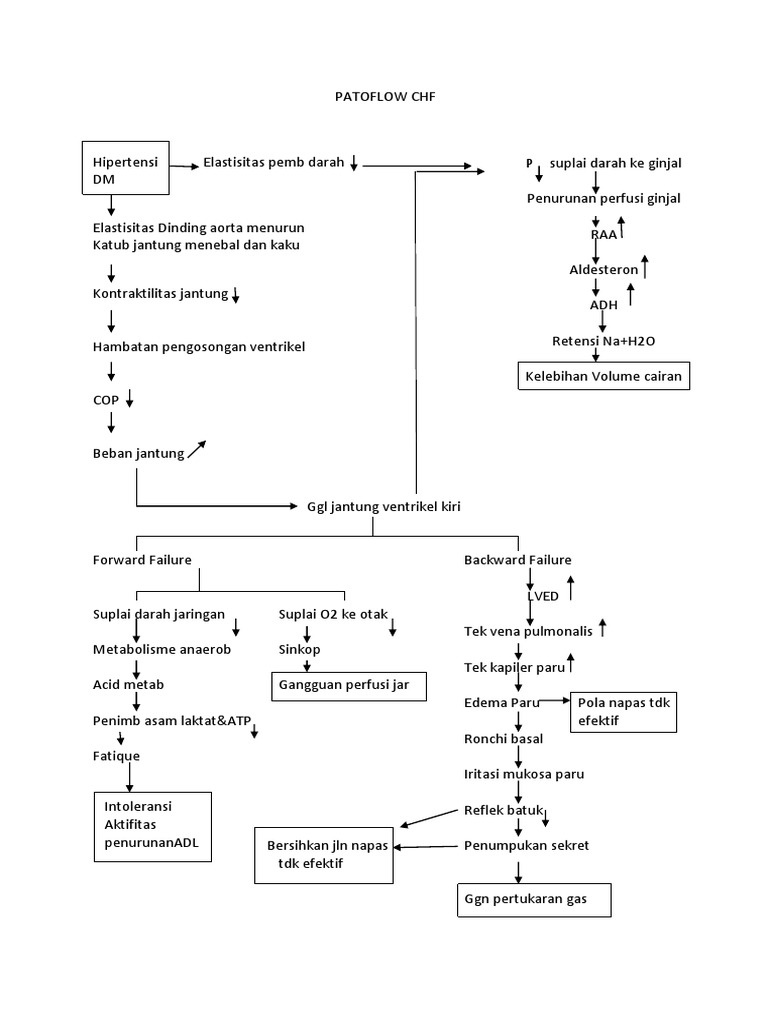 Patoflow CHF | PDF