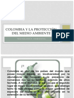 Colombia y La Protección