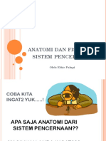 Anatomi Dan Fisiologi Pencernaan