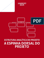 luanildosilvaestruturaanaliticadoprojetoaespinhadorsaldoprojeto-141117192304-conversion-gate01.pdf