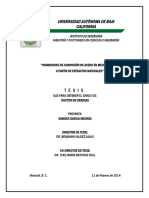 tesis de corrosion.pdf