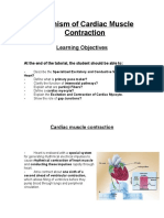 Mechanism of Cardiac Muscle Contraction: Learning Objectives