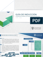 Guia Induccion Cgti v5