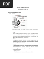 Download LAPORAN PENDAHULUAN  LAKTASI by amelia SN360893694 doc pdf