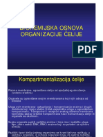 Organizacija celije