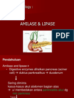 295766548-AMILASE-LIPASE