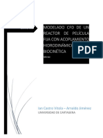Informe - (Modelado CFD de Un Reactor de Película Fija Con Acoplamiento Hidrodinámico y Biocinética)